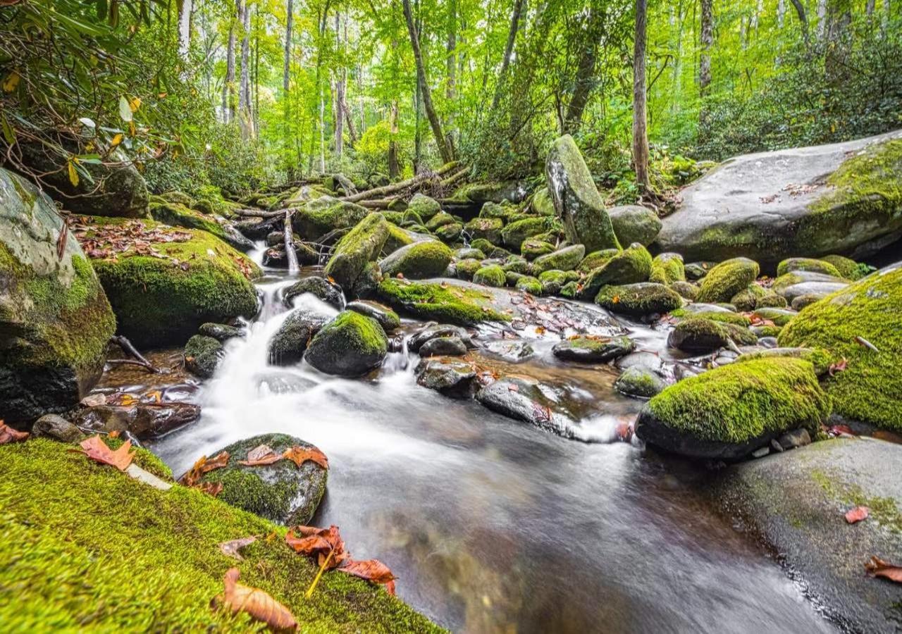 The Grand Orchard Lodge - Gatlinburg, Tn エクステリア 写真