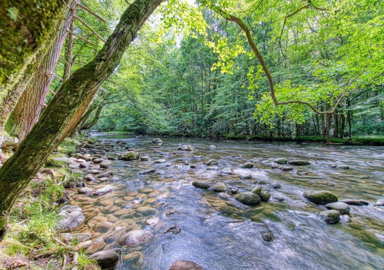The Grand Orchard Lodge - Gatlinburg, Tn エクステリア 写真